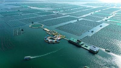 海岸边立起“充冷宝”