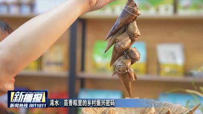 浠水：茴香粽里的乡村振兴密码