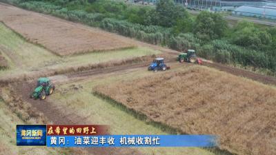 在希望的田野 ｜ 黄冈：油菜迎丰收 机械收割忙