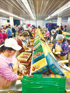 湖北：以“一只虾”撬动千亿级产业