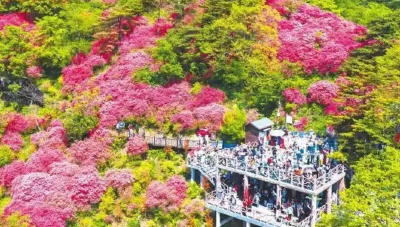五一季•央媒看黄冈