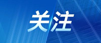 王忠林主持研究长江航运绿色动力发展 努力在推进长江绿色航运上闯出一条新路