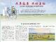 黄冈市“5.17”电信日专题宣传精彩纷呈