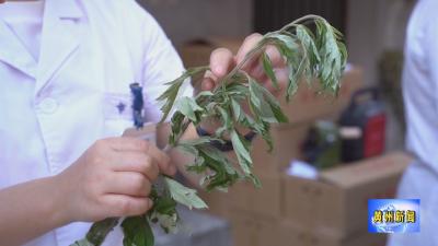 黄州：浓情端午  粽享传情