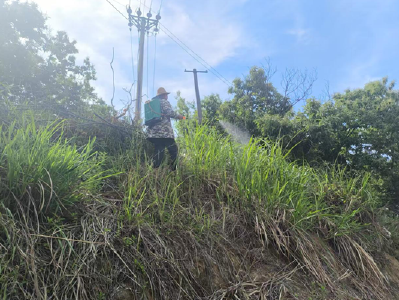 罗田县开展清茅行动筑牢森林防火屏障