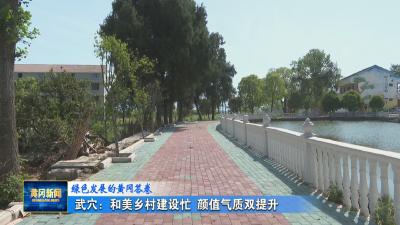 绿色发展的黄冈答卷｜ 武穴：和美乡村建设忙 颜值气质双提升