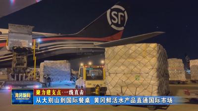 聚力建支点 一线直击｜ 从大别山到国际餐桌 黄冈鲜活水产品直通国际市场
