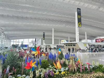 5月2日 早！黄冈 | 三省交界，这个停车场试运营 ◆3.4亿人次！增长8%！