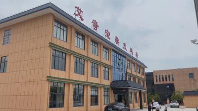 聚力建支点 一线直击｜蕲春：齐心协力迎节会 全力以赴赶生产