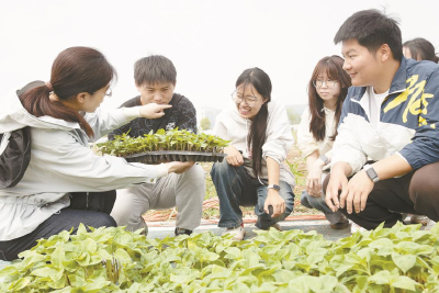 扛起锄头做学问，扎根大地写青春