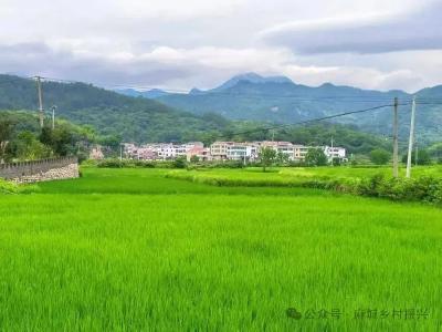 我市自然资源领域改革显成效 多个创新试点事项获全省通报表扬