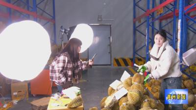 顺丰冷运黄冈中心：泰国榴莲实现24小时全国直达