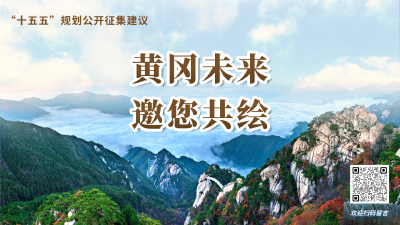 我为“十五五”规划建言献策