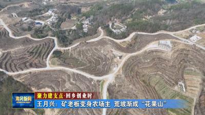 聚力建支点 回乡创业时｜ 王月兴：矿老板变农场主 荒坡渐成“花果山”
