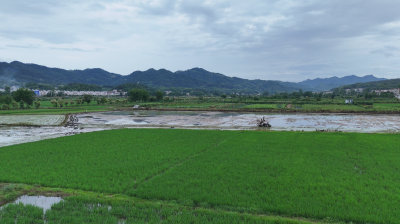 送贷上门 润“企”无声——英山农商行落实小微企业融资协调机制服务科创企业