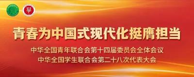 全国青联五年工作综述