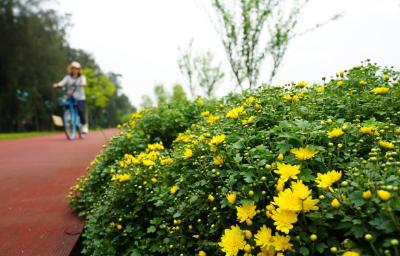 团风县外卖骑手与社区居民共迎端午佳节
