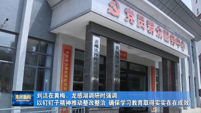 刘洁在黄梅、龙感湖调研时强调 以钉钉子精神推动整改整治 确保学习教育取得实实在在成效