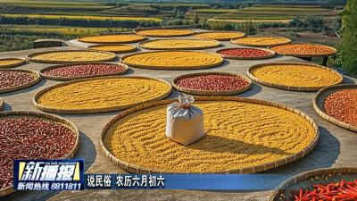说民俗 农历六月初六