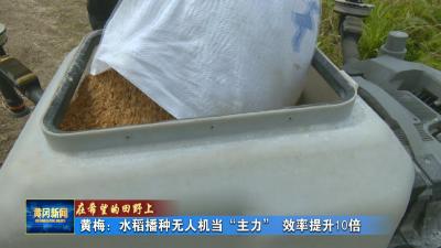在希望的田野上｜ 黄梅：水稻播种无人机当“主力” 效率提升10倍