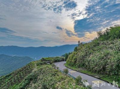 湖北将迎连续晴热天气 预计局地高温39℃以上