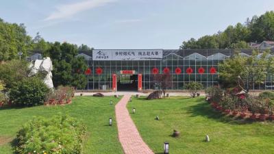 聚力建支点 一线直击｜罗田骆驼坳：抓电商 重项目 产业融合添活力