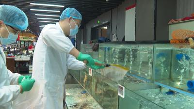 筑牢三级检测网 引入专业“第三只眼” 浠水打造全链条舌尖安全屏障