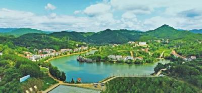 产业三次升级 一块茶园挣了三道钱——乌云山村从空心村到全国文明村的成长之路