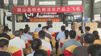 聚力建支点 一线直击｜英山：冷链“链”出新机遇 山货飞出新“味”来