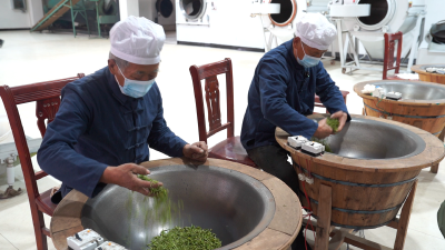 “i黄冈—茶园好帮手”赋能茶园焕新机