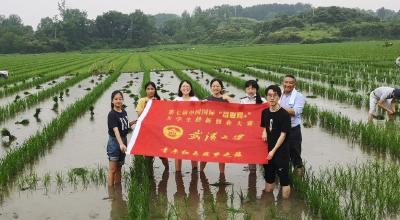 深耕红莲稻海 守护大国粮仓