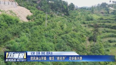 团风淋山河镇：做活“桃经济” 走好振兴路