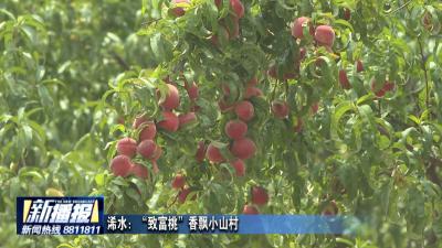 浠水：“致富桃”香飘小山村