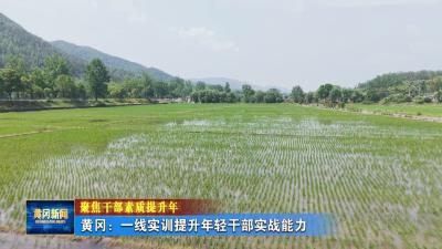 聚焦干部素质提升年｜ 黄冈：一线实训提升年轻干部实战能力
