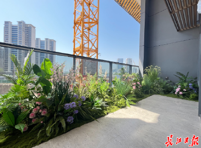 武汉5月新房成交环比增38%，中心城区领涨，四代住宅与新政共促市场回暖