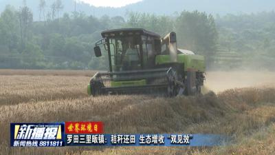 世界环境日｜罗田三里畈镇：秸秆还田 生态增收“双见效”