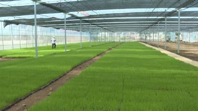 水利部向14省份发出“一省一单”靶向预警 淮河防总、淮委启动抗旱四级应急响应