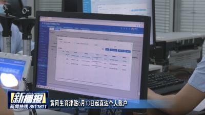 黄冈生育津贴6月13日起直达个人账户 