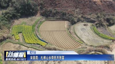黄冈人黄冈事｜ 宋美霞：扎根山乡带民共致富