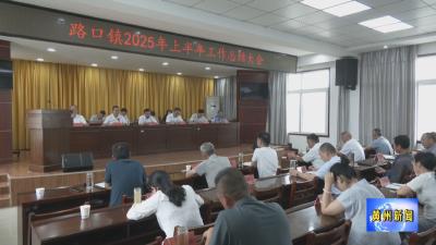 黄州路口镇召开2025年上半年工作总结大会