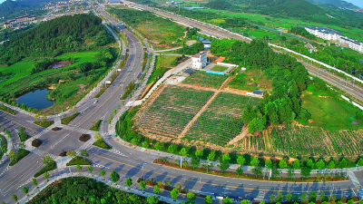 农业农村部等提示防范“订单农业”骗局风险