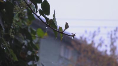 生活小贴士｜ 夏季晴雨交替 这些养生细节要知道！
