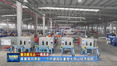 聚力建支点 一线直击｜ 甬黄双向奔赴 11个共建园区重塑大别山经济版图
