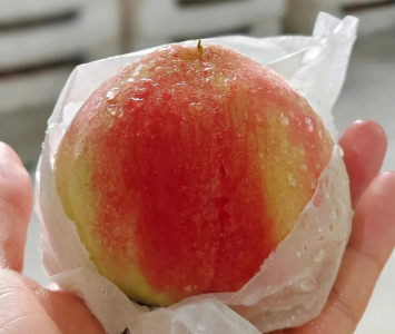 云中谁寄蟠桃来？红裔网红干汉权——中国播城集团助推桑梓能人创业强村富民