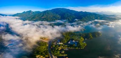黄冈公开征集志愿服务领域突出问题线索