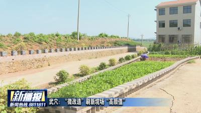 武穴：“微改造”刷新垸场“高颜值”