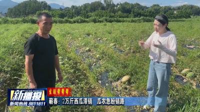 生活帮帮帮｜蕲春：2万斤西瓜滞销  瓜农急盼销路