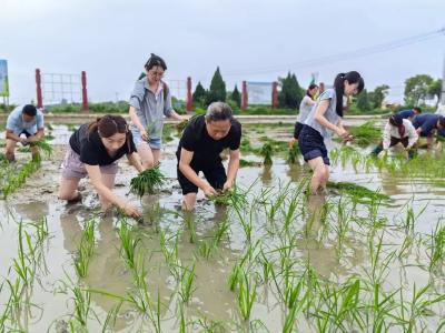 脚下沾满泥土 心中沉淀真情——武穴市农业农村局青年干部走进“田间课堂”活动侧记