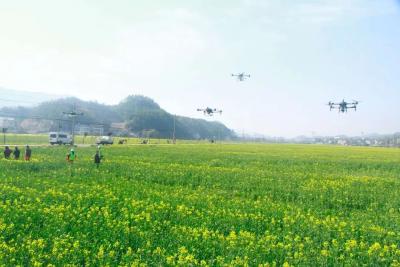 “三农九问”问出爱农富农初心使命