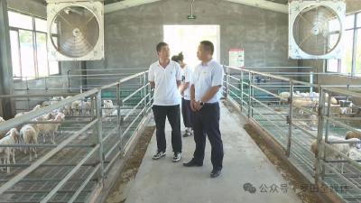 三里畈镇：坚持三产融合 聚力三镇建设